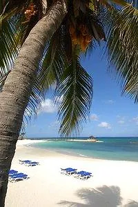 The Palmyra A Solis & Montego Bay