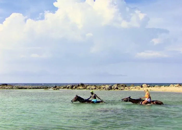 The Palmyra A Solis & 5* Montego Bay