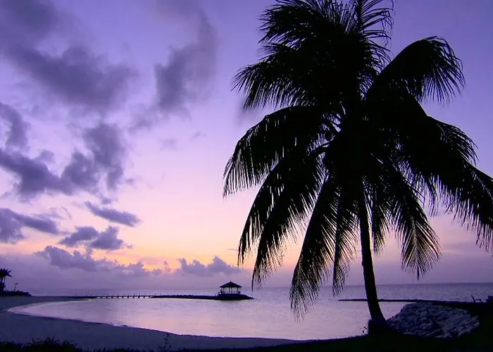 The Palmyra A Solis & 5* Montego Bay